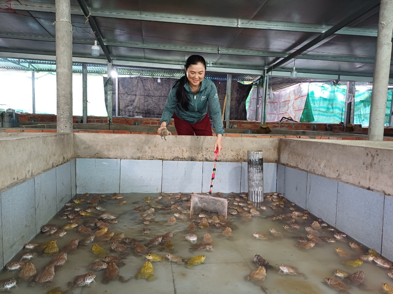 Long Hồ xây dựng Kế hoạch phát triển kinh tế tập thể, hợp tác xã năm 2027