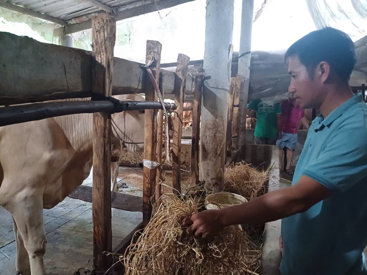 Hội viên CCB xã Long Hồ phát triển kinh tế giảm nghèo bền vững 
từ nguồn vốn vay của NHCSXH Long Hồ